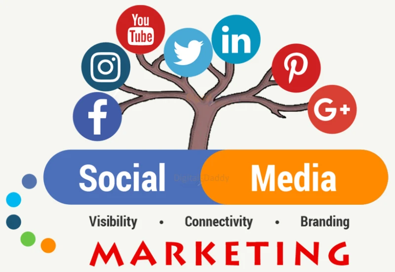EduNova | Social Media Marketing EduNova|Social Media Marketing